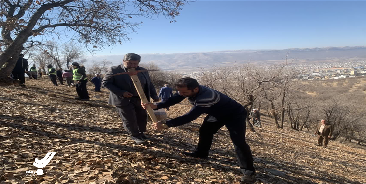 آغاز بذرکاری در سطح  ۳۰ هکتار از پارک جنگلی یاسوج
