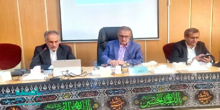 توسعه شبکه برق‌رسانی در مناطق محروم، از اولویت‌های صنعت برق استان است