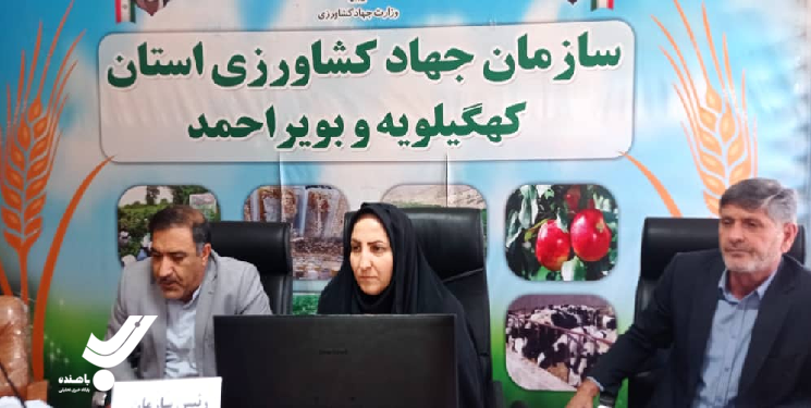 صادرات محصولات کشاورزی بهترین جایگزین برای اقتصاد نفتی 