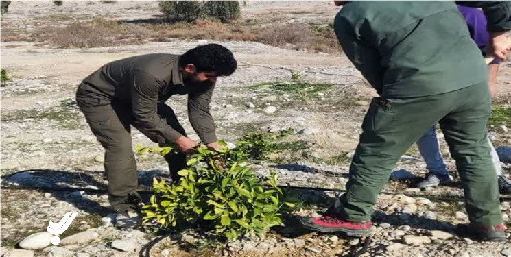 اجرای حکم قلع و قمع در ۴۶۳۱ متر مربع از اراضی ملی شهرستان گچساران